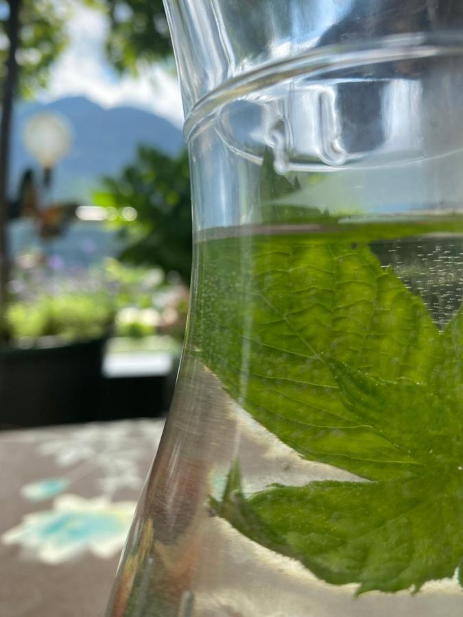 Hotel Garni Pinzgau, Fabian Huettl